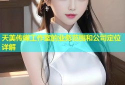 天美传媒工作室的业务范围和公司定位详解