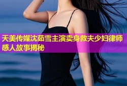 天美传媒沈茹雪主演卖身救夫少妇律师感人故事揭秘