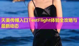 天美传媒入口TestFlight体验全攻略与最新动态
