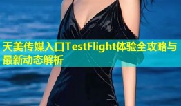 天美传媒入口TestFlight体验全攻略与最新动态解析