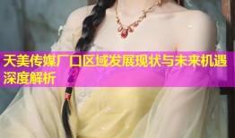 天美传媒厂口区域发展现状与未来机遇深度解析