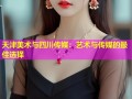 天津美术与四川传媒：艺术与传媒的最佳选择