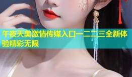 午夜天美激情传媒入口一二二三全新体验精彩无限