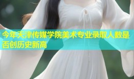 今年天津传媒学院美术专业录取人数是否创历史新高
